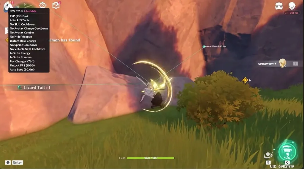 Genshin chest ESP wallhack markers through cliffs for exploration